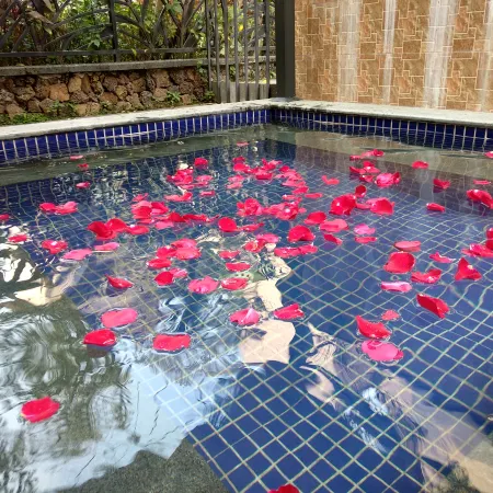 Miaoleiwu Hot Spring Holiday Villa (Longmen Nankunshan)