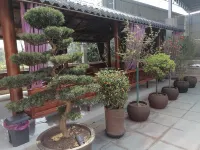 Leshan Jiaxing Hotel (Suji Ancient Town) Hotels near Leshan Vocational and Technical College (New Campus)
