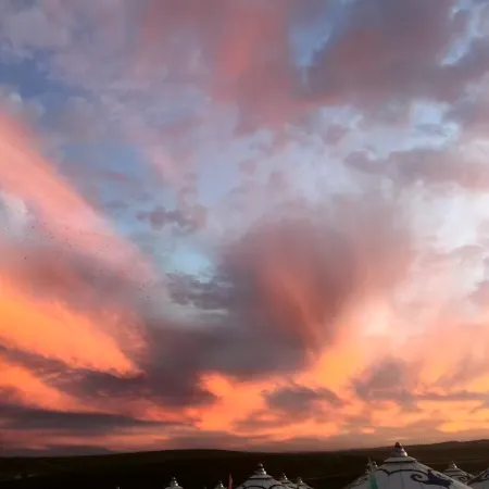 Amani Bread & Ger · Mongol Ger Guesthouse (Xilamuren Grassland)