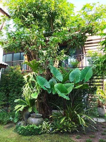 รูปภาพของโรงแรมนายก่ายหมอน