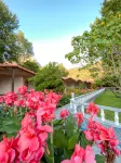 Likya Adrasan Hotels in Adrasan