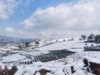 新昌雲涧山居 - 酒店景观