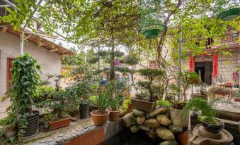 Wuyishan Spring Homestay