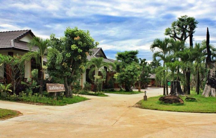 Big Tree Resort
