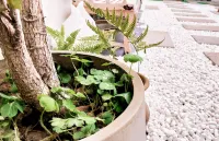 Cat Youth Hostel in Qufu Alley