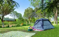 Huashan Self-driving Campground (Huashan Scenic Area Visitor Center Branch)