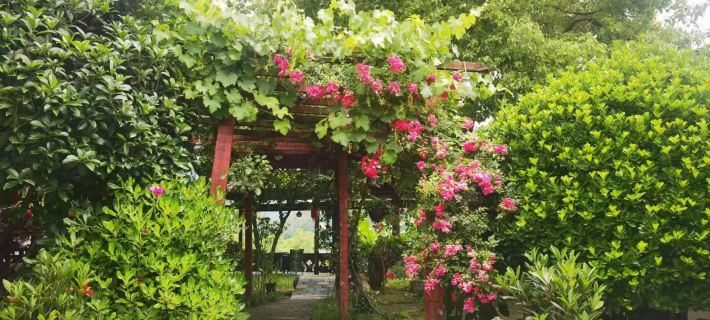 Shiquan Houliu Yard Hotels in Shiquan