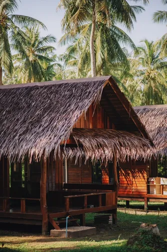 รูปภาพของโคโค่ คาโนปี้ บูทิค รีสอร์ท 