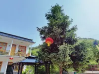 Maiji Mountain Muzili Homestay - balcony