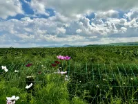 Gesanghua Homestay