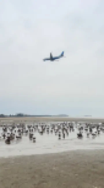 Laikanhai B&B (Fuzhou Changle International Airport)