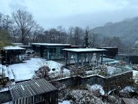 青岛九水和园艺术设计酒店 - 花园