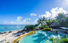 Island · dew Seaview apartment