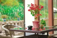 Huangshan Huijiyunge Guesthouse Hotels in Huangshan