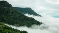 Pino Latte Khao Kho - Mountain view