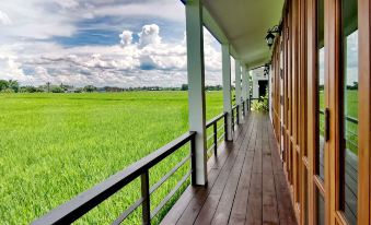 Rice Villa ChiangMai