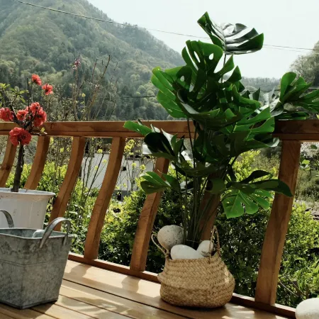 Huangbaiyuan Mountain Forest Guest House