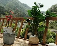 Huangbaiyuan Mountain Forest Guest House - วิวภูเขา