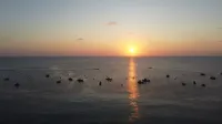 Island Sunset Hotel فنادق في Phu Quy