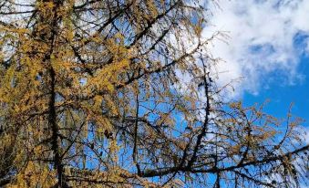 Mount Siguniang Cloud Mountain Stay