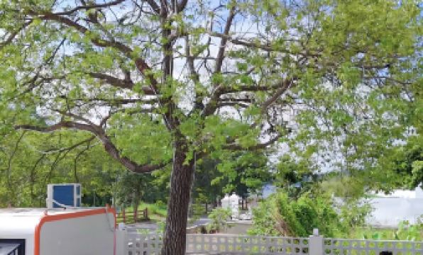 Mount Luofu Shanyuhu Vacation Apartment