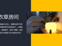 烟台丝柱鸾尾轻奢酒店 - 薰衣草精油芳香主题房