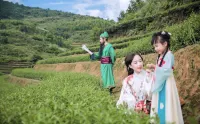 Yunling Tea Manor Hotels in Anxi