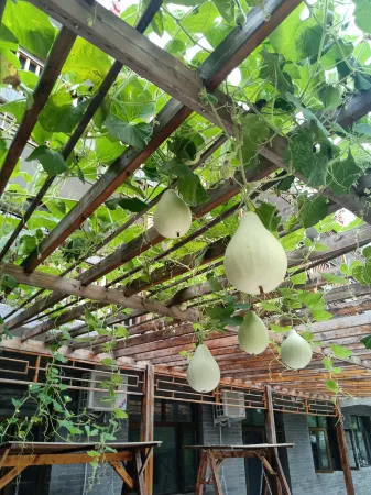 Beijing Tingyi Villa (Julingxia Lingshan Scenic Area Branch) Отели рядом с достопримечательностью «Miyun Flood Pass»