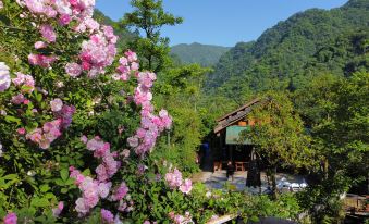 Qingcheng Mountain Flower and Brook Pick Up Light Cloud Valley Villa