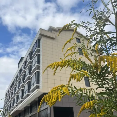 Shiguang Courtyard Homestay (Shitang Peninsula Tourist Resort) Отели рядом с достопримечательностью «Рыба камней»
