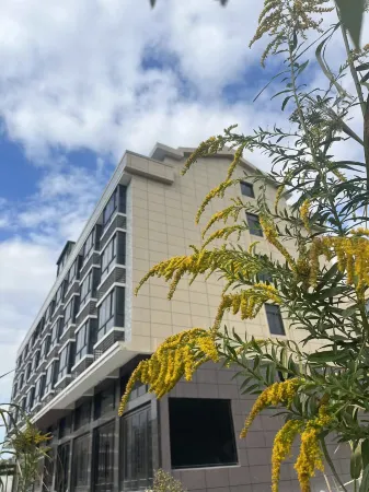 Shiguang Courtyard Homestay (Shitang Peninsula Tourist Resort) Отели рядом с достопримечательностью «Shitang Town»