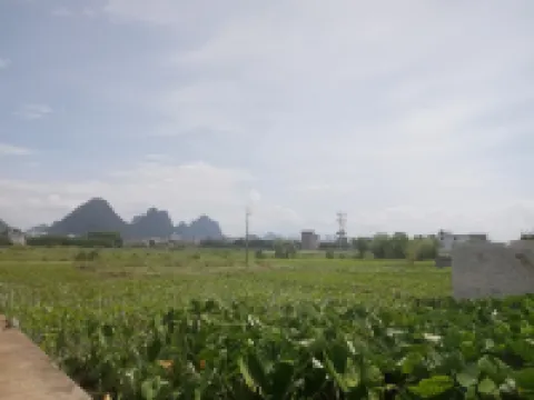 Shuncheng Homestay (Hezhou Station)