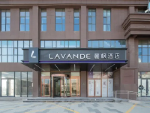 麗楓酒店(新樂石家莊機場河北美院店) 新樂酒店