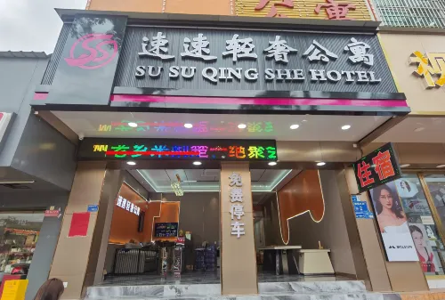 Dongguan Susu Light Luxury Apartment