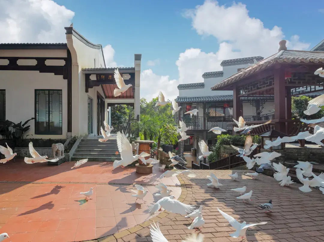 Boya Mountain House B&b - Canton (Guangzhou)