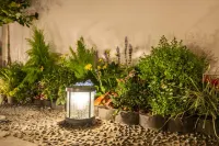 Suxi Huashe Homestay (Shantang Street) 딩 파크 주변 호텔