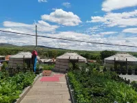 Saibei B&B Park Su Courtyard Hotels in Zhuozi