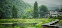 Jingdezhen Yidianshanshe Homestay