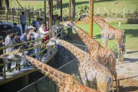Longemont Zoo Hotel - Gym