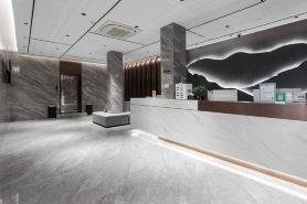 Las Esports Hotel (South Asia Store)