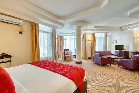 Kibo Palace Hotel Отели в г. Аруша