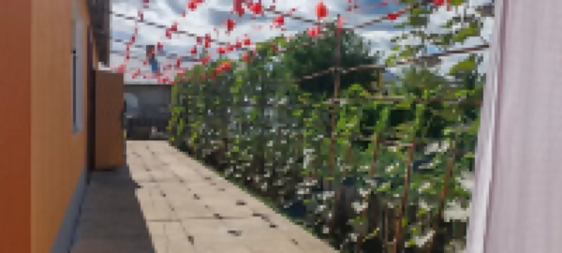 Beijicun Good Days Farm
