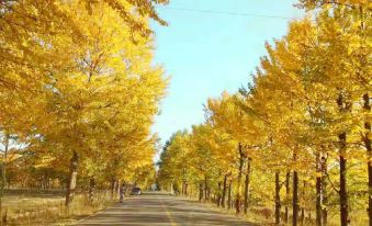 Qinghai Lake Tianyi Jiayuan Farm Stay