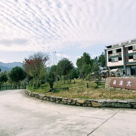 Xinfeng Senlai Dafeng Tea Manor