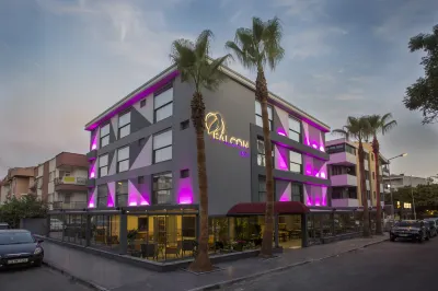 Falcon 1511 Hotels in 