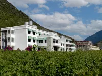 Zichen Read Merry Ice Wine Estate Hotels near Meili Snow Mountain Lookout