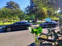 Xiangyang Ruoyin Homestay (Xiangyang Ancient City Zhongxuan Building) - Pet friendly