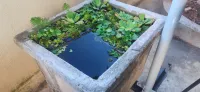 Qiyun Xiaozhu Homestay