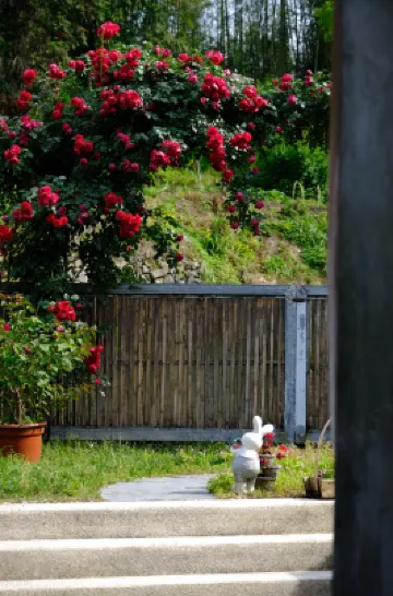 Xidi·Double courtyard Han House (Xidi Scenic Area) โรงแรมในวิวซิตี้
