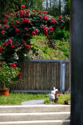 Xidi·Double courtyard Han House (Xidi Scenic Area) Hotels near Yixian Dong Railway Station